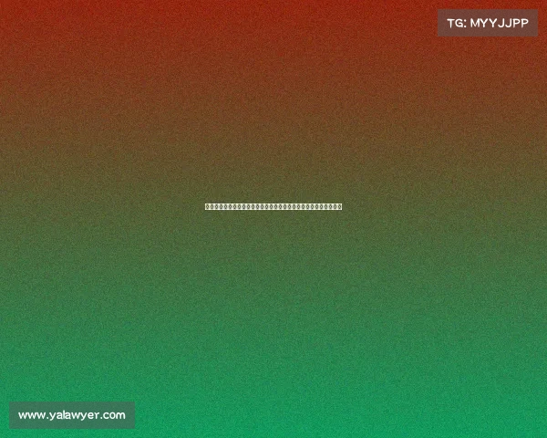 网球比赛用球的设计演变与技术创新：从传统到现代的运动装备革新