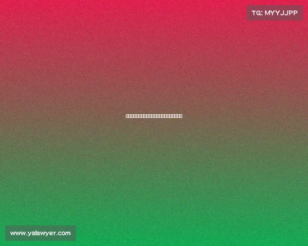 德甲联赛伤病潮持续影响球队阵容与战术布局分析