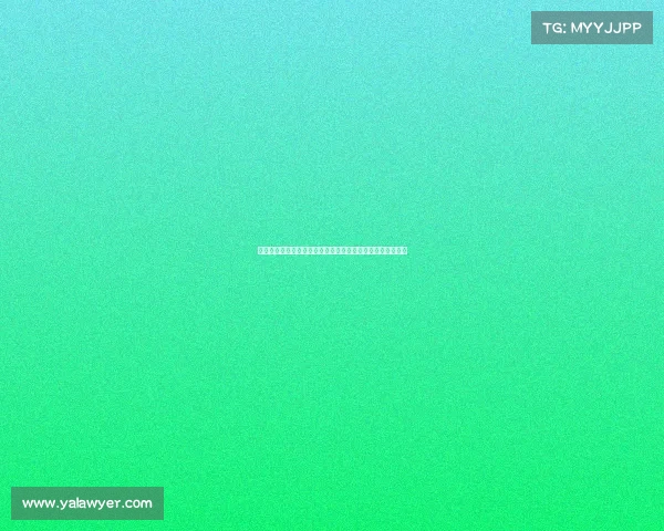 法甲球队如何通过自由转会打造强大阵容分析与未来趋势探讨